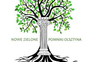 Zielony Olsztyn pyta mieszkańców miasta o propozycje nowych drzew - pomników przyrody