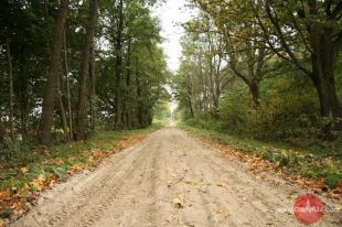 Mikołaju Koperniku. Wesprzyj! Niechby Gościniec Niborski do zabytków wpisano!