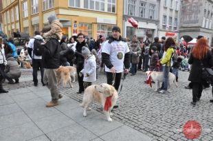 Psiemu urokowi nie oprze się żaden portfel