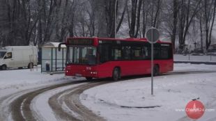 Dywicka komunikacja mrozów się nie boi