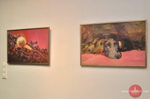 Po drugiej stronie świadomości Danuty Krajewskiej