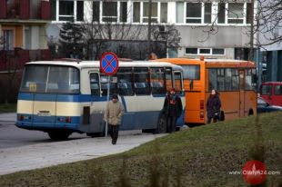 Sprawdzali gimbusy