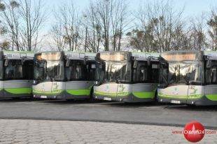 Wszystkich Świętych 2025. Zmiany w organizacji ruchu w Olsztynie od 1 do 3 listopada