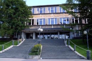 Sukcesy wokalistów