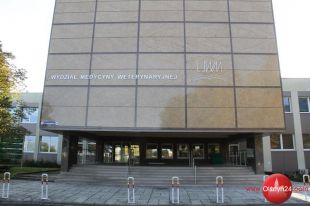 Bajeczną akcję na rzecz zwierząt z olsztyńskiego schroniska zorganizowali studenci weterynarii