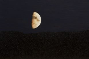 Wernisaż dwóch nowych wystaw i performance w BWA