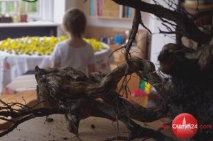 Inaczej o „Martwych Naturach”