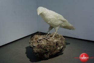 „Siedem tańców II”  Zuzanny Janin od czwartku w BWA