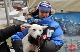 Biegnący Wilk wyruszył z Olsztyna na Finnmarkslopet 2012