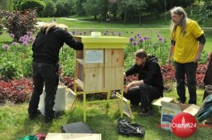 Greenpeace otworzyło 9 hoteli dla pszczół i owadów zapylających w Olsztynie