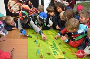 Europejska Noc Naukowców Fusion Night trwa w Olsztynie