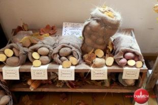 Skansen w Olsztynku zaprasza na Smaki jesieni