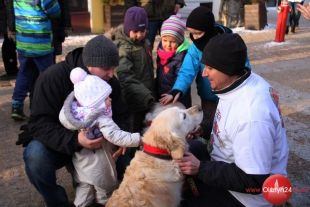 Finały z golden retrieverami stają się tradycją olsztyńskich odsłon WOŚP