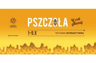 Pszczele opowieści w Galerii Warmińskiej czyli Pszczoła w roli głównej