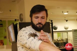 Wystawa „Fascynujący świat pająków i skorpionów” w Olsztyńskim Planetarium