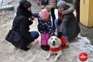 WOŚP zagrała także na olsztyńskiej starówce 