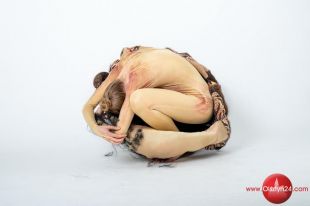 BWA zaprezentuje w czwartek „Jeden organizm” Patrycji Pi Py Piwosz