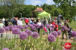 Dzień Dziecka na trawie w Parku Centralnym