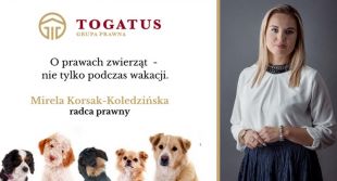 Azor ustawą chroniony