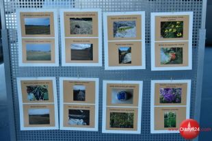 „365 myśli i fotografii” Natalii Machałek