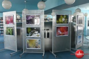 Wystawa fotografii Natalii i Mariusza Ciesielskich prezentowana jest w Planecie 11