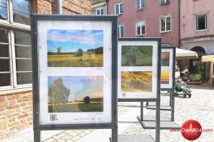 „Oko w oko – blisko przyrody” z Ryszardem Makszyńskim. Nowa wystawa udostępniona na Starym Mieście