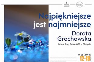 „Najpiękniejsze jest najmniejsze”. Wystawa Doroty Grochowskiej od środy w WBP