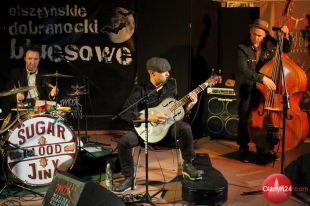 Amerykanie zagrali na Olsztyńskich Dobranockach Bluesowych