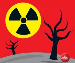 Dyskutowali o zagrożeniach ze strony elektrowni jądrowych