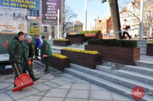 Na plac przy ratuszu przyszła wiosna