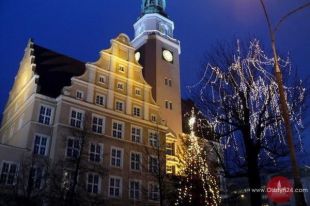 Choinka już stanęła przed ratuszem