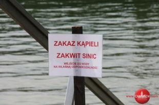 Sinice odpuszczają. Zakazy kąpieli nad olsztyńskimi jeziorami częściowo zniesione