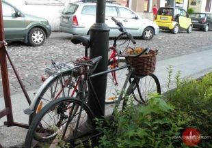 Mój olsztyński Dzień bez Samochodu