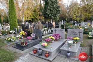 Miasto pomoże sprzedawcom chryzantem poszkodowanych w wyniku zamknięcia cmentarzy ubiegać się o rekompensaty