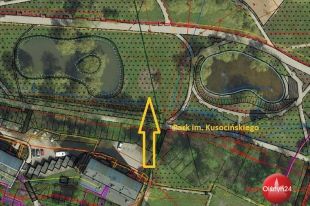 Będą biły rekord Guinnessa, potem zostaną przetransportowane do Olsztyna