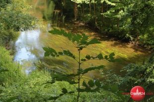 Będą kosić dno Łyny