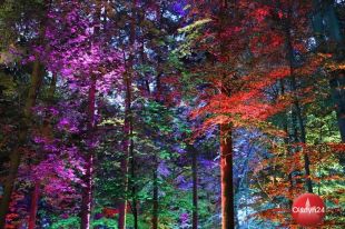 Kortowski park rozbłysnął feerią świateł