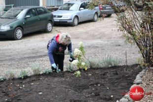 Więcej „podwórek z natury” w Olsztynie