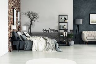 Czarno-białe fototapety – ponadczasowa dekoracja, na którą warto się zdecydować