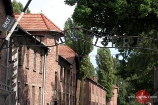 Wycieczki do Oświęcimia? A fe!