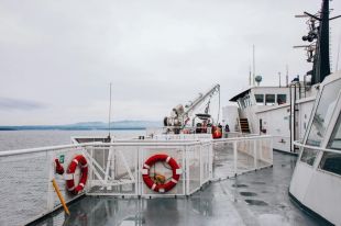 Kariera morska: jak znaleźć pracę na statku pasażerskim?