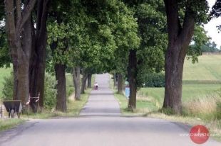 Ruszył nabór na „schetynówki”