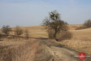 Jutro umowa na dofinansowanie budowy Term Warmińskich