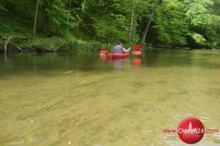 Kajakowe atrakcje w Brąswałdzie