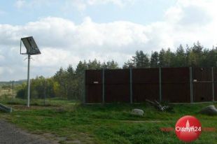 Pierwsze nagrania z monitoringu „zielonego mostu”