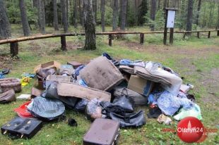 Problem nr 1? Samochód w lesie