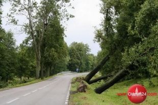 Uwaga! W Olsztynie silnie zawieje!