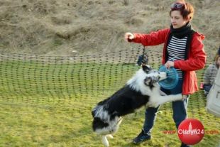 Emocje psich sportów