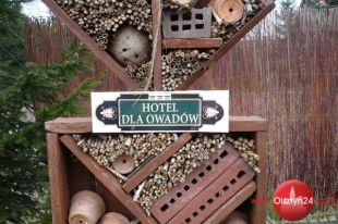 Budzi się ogród ze snu