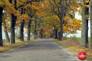 W poniedziałek inauguracja drugiego roku realizacji programu „Zielona droga” 
